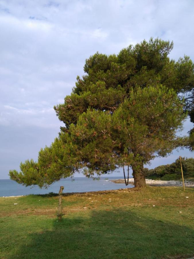 Maison d'hôtes Vera 4*